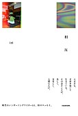 「iri、初のフォトエッセイ発売決定　故郷・逗子での撮り下ろし写真や楽曲をテーマにしたコラムなど収録」1枚目/2