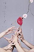 「初回限定盤」2枚目/10