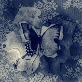「【ビルボード】大森元貴「灰色」DLソング首位獲得　Snow Manが5曲トップ10入り」1枚目/2