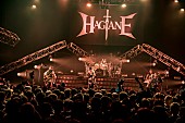「＜ライブレポート＞HAGANE、“メタル幕の内弁当” EP『METAL QUEST』をファンと完成させたツアーファイナル」1枚目/6