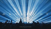 「Official髭男dism、大阪城ホール公演より「スターダスト」ライブ映像を公開」1枚目/2