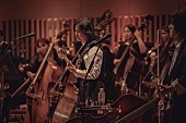 「」3枚目/11
