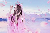 「倉木麻衣、新曲「ハレルヤ」がTVアニメ『名探偵コナン』放送30周年記念作品の主題歌に決定」1枚目/1