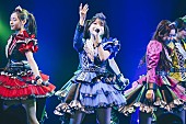 「」5枚目/17
