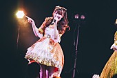 「」7枚目/17