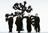 「Plastic Tree、海外公演【Replay】チリ＆メキシコで開催」1枚目/3