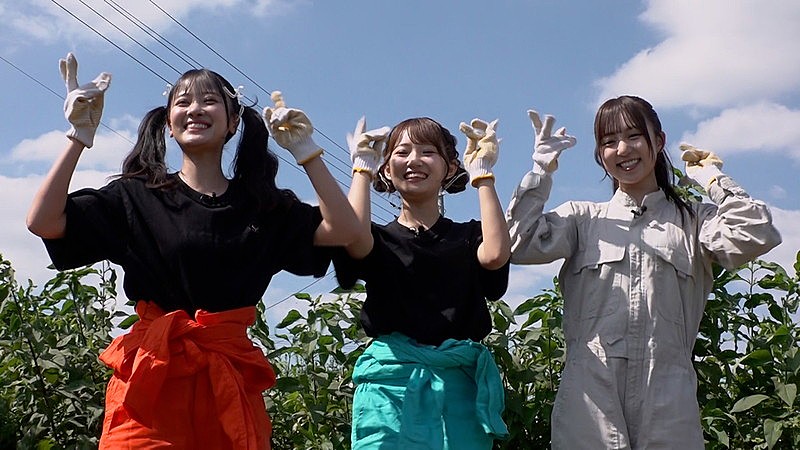 「KAWAII LAB.新プロジェクト「KAWAII FARM」始動＆番組開始、目指すはリアルな“KAWAII村”」1枚目/5