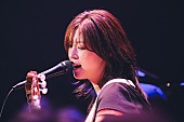 「」4枚目/11