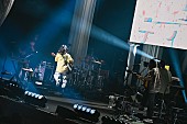 「」6枚目/11
