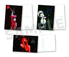 椎名林檎、ライブ映像作品『党大会 令和八年列島巡回』購入者特典決定＆発売記念 衣裳展の開催決定