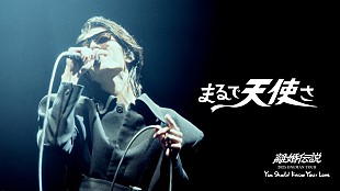 「離婚伝説、10/21発売メジャー1stAL『ファーストキス』映像特典より「まるで天使さ」ライブ映像公開」