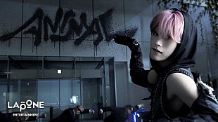 「JO1が日本という“檻”から世界という“ジャングル”へ、全米デビューEPタイトル曲「ANIMAL」MVで突き進む」