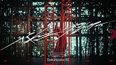 「櫻坂46、小田倉麗奈がセンターを務める「自称バレエダンサー」MV公開＆配信開始」1枚目/1