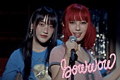 「a子、タイのシンガーソングライター・pamiを迎えた「bow wow」MVで“犬との日常”を描く」1枚目/4