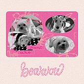 「a子 配信シングル「bow wow feat. Pami」」2枚目/4