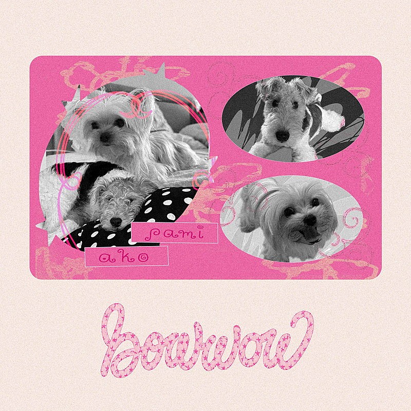 「a子 配信シングル「bow wow feat. Pami」」2枚目/4