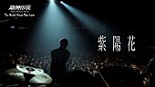 「離婚伝説、AL『ファーストキス』初回盤から「紫陽花」ライブ映像先行公開」1枚目/6