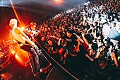 「Novel Core、豊洲PIT公演から「カミサマキドリ」ライブ映像公開」1枚目/3