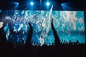 「LA4__Photo by Jiro Konami」9枚目/9