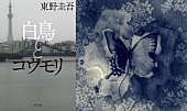 「『白鳥とコウモリ』公開週に主題歌・原作が上昇　SixTONESも&amp;quot;Artist 100&amp;quot;で6位に」1枚目/2