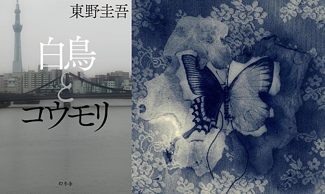 「『白鳥とコウモリ』公開週に主題歌・原作が上昇　SixTONESも"Artist 100"で6位に」1枚目/2