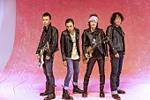 「ザ・クロマニヨンズ、ニューアルバム『Hola! Leopardo』発売＆全国ツアー開催決定　」1枚目/3
