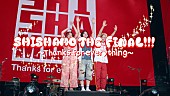 「SHISHAMO、6月ラストライブのダイジェスト映像公開」1枚目/2