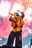 「」5枚目/12