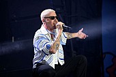 「マックルモア、【フリー・パレスチナ・ツアー】ダブリン公演でマーク・ラファロやジュリアン・カサブランカスらがサプライズでスピーチを披露」1枚目/1
