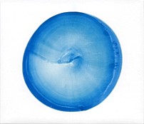 フィッシュマンズ 「空中　ベスト・オブ・フィッシュマンズ～２５ｔｈ　Ａｎｎｉｖｅｒｓａｒｙ　Ｅｄｉｔｉｏｎ～」